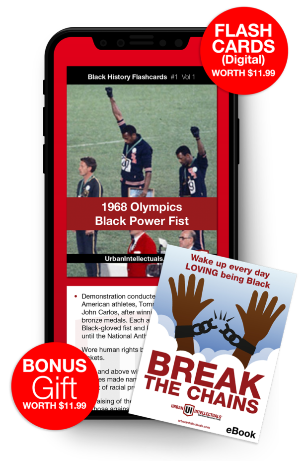 Digital Flashcards Vol 1 + Break The Chain Ebook Sankofa Club
