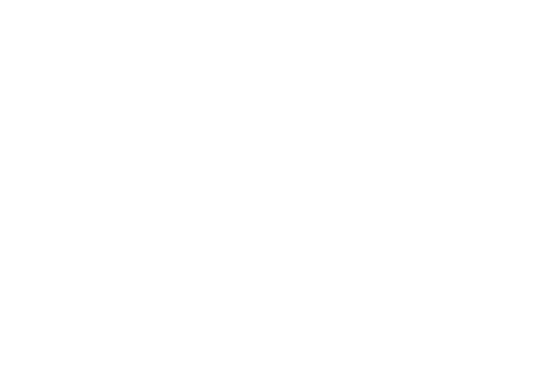 BlackFridaysLogo-ALLWHITE-500px