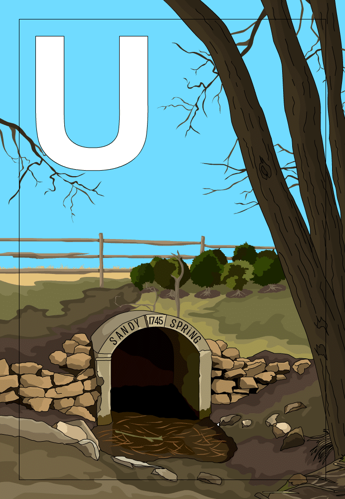 U
